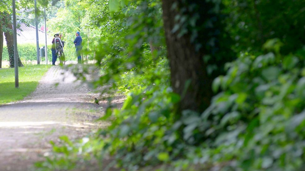 Ein fester Weg führt rund um den Berg herum. Dort gehen Einheimische gerne spazieren. Foto: Lüppen/Archiv