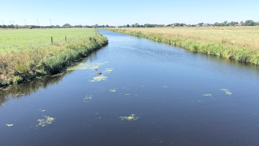 Die Sieltiefs im Rheiderland sollen der Schlüssel sein. Foto: Vogt