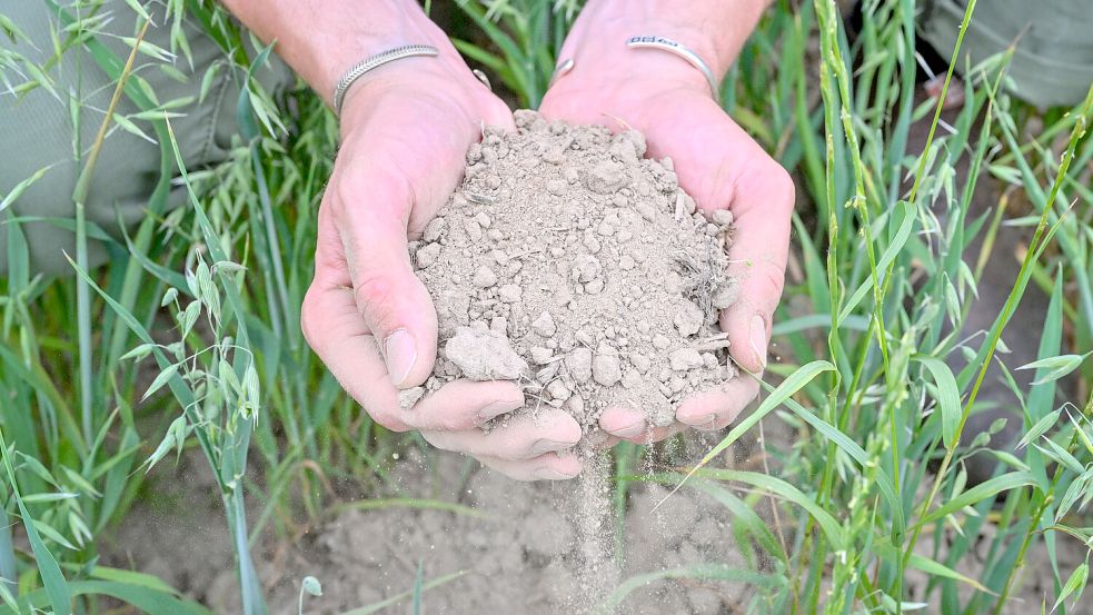 Trockene Erde: Unter anderem in der Landwirtschaft wird im Sommer Wasser gebraucht. Foto: Patrick Pleul/dpa