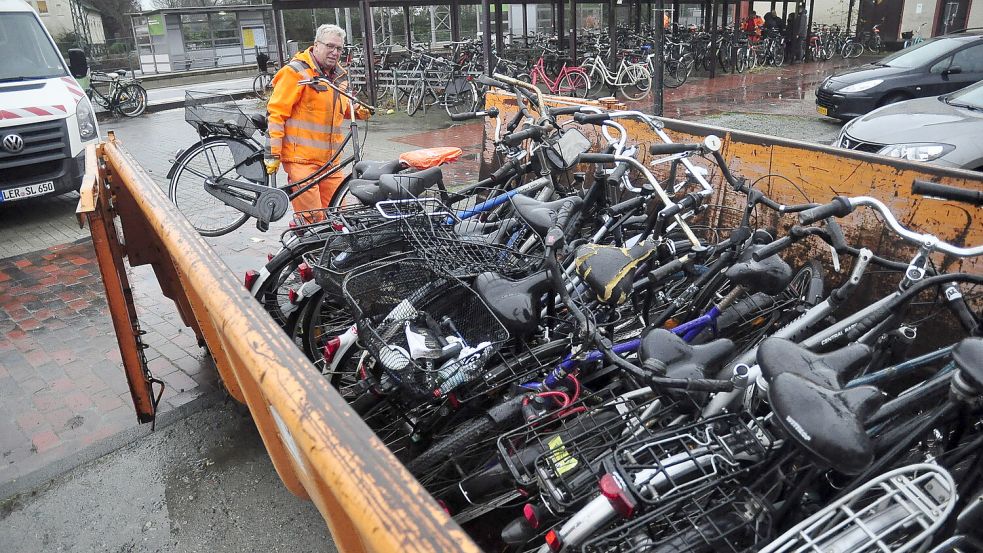 Die Drahtesel wurden für den Transport in Container verladen. Foto: Wolters