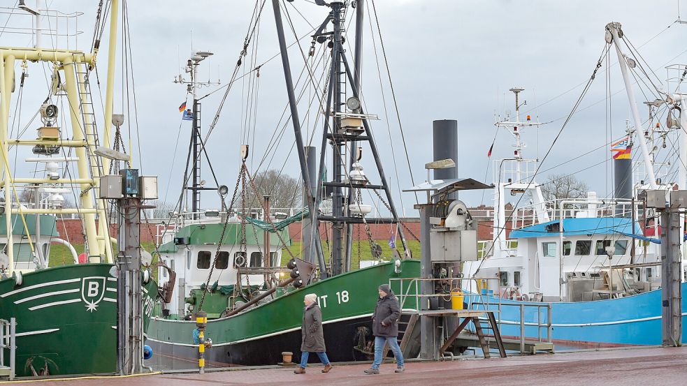 In Ditzum am Hafen liegen nur die Kutter im Wasser, alles andere bleibt trocken. Foto: Ortgies