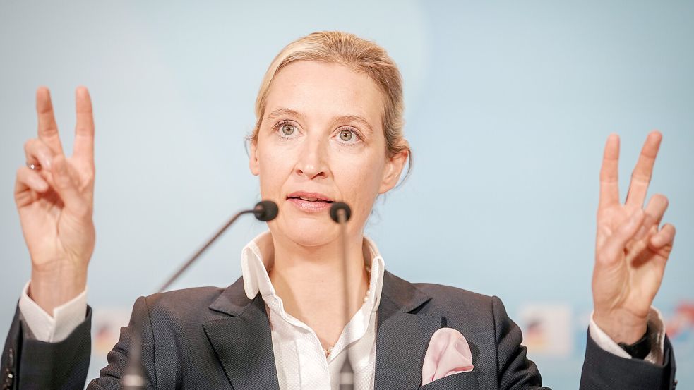 AfD-Chefin Alice Weidel wurde im Dezember vorgeworfen, ihre Doktorarbeit gefälscht zu haben. Von diesen Vorwürfen wird sie nun freigesprochen. Foto: dpa/Kay Nietfeld