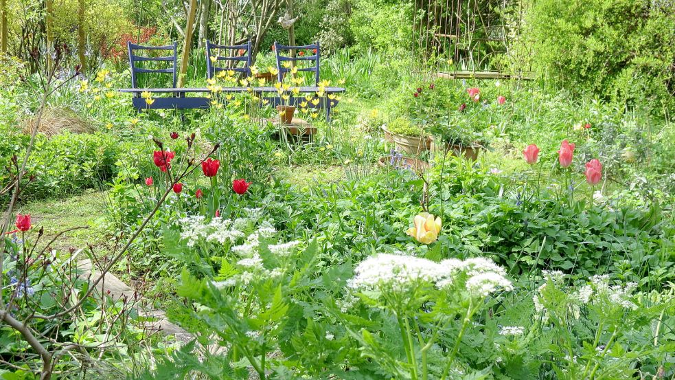 Der natürlich bewachsene Garten liegt in diesem Jahr im Trend. Foto: Berends-Lüürßen
