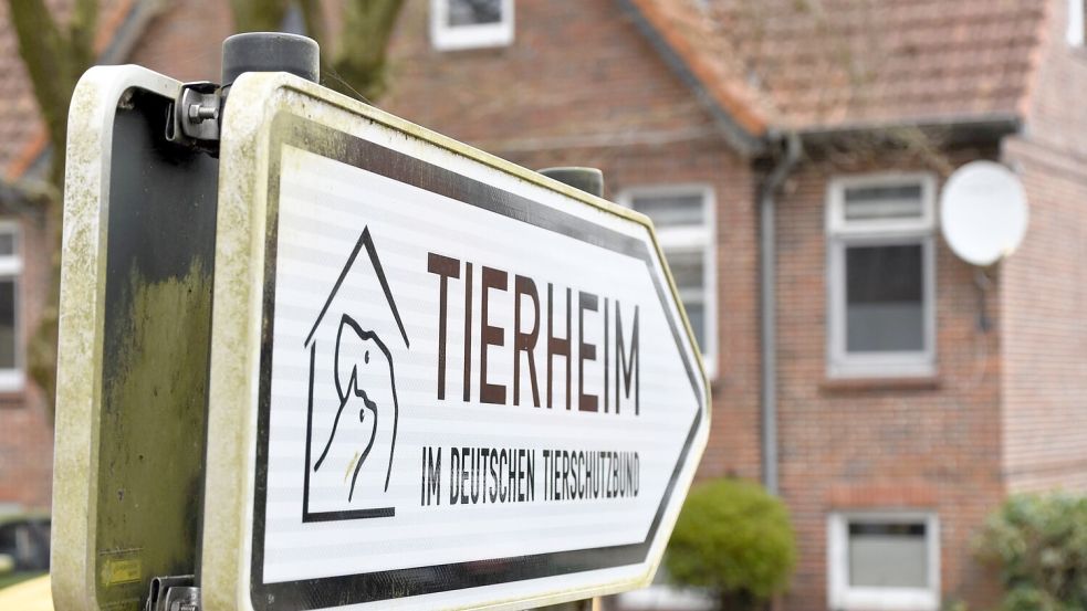 Der Standort an der Friesoyther Straße in Sedelsberg, wo sich das Tierheim seit 1992 befindet, kann die aktuellen Anforderungen an tierschutzgerechte Unterbringung nicht mehr erfüllen. Eine Erweiterung ist dort ebenfalls nicht möglich. Foto: Hahn