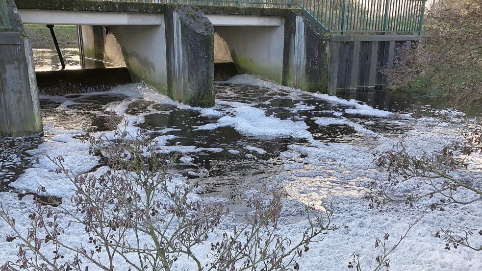 Über das Einlassbauwerk bei Langholt floss Wasser aus dem Burlager-Langholter Tief ins Langholter Meer. Archivfoto: Radtke