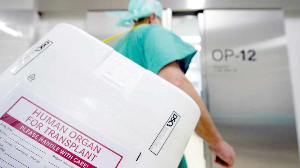Ein Styropor-Behälter zum Transport von zur Transplantation vorgesehenen Organen wird am Eingang eines OP-Saales vorbeigetragen. Foto: Stache/dpa