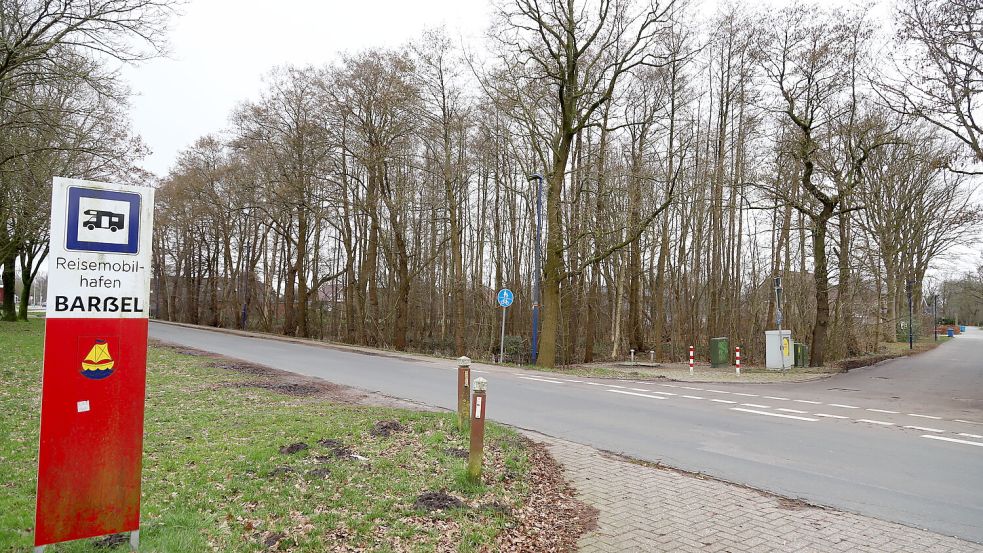 Die Gehölze stehen auf dem Sondergebiet „Hotel“. Seit mehr als zehn Jahren wird dafür ein Investor gesucht. Das Grundstück gehört der Gemeinde Barßel. Foto: Passmann