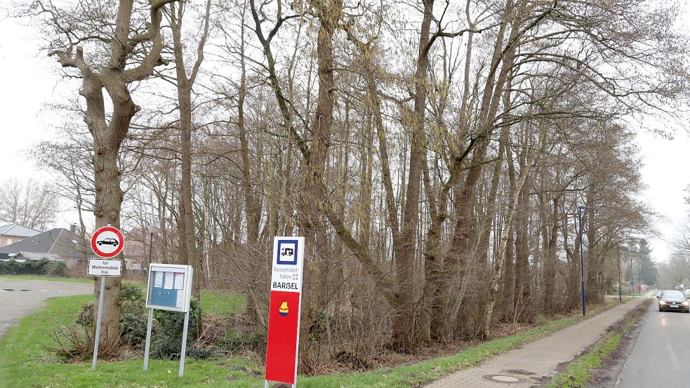 Diese Fläche an der Ecke Deichstraße/Fasanendamm soll gerodet werden. Foto: Passmann