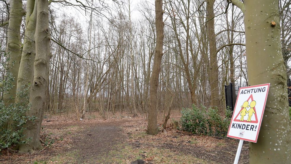 Dieser Baumbestand zwischen Fasanendamm und Deichstraße gegenüber dem Barßeler Hafen soll gerodet werden. Foto: Passmann