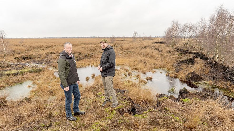 An der Bruchstelle im Dalum-Wietmarscher Moor: Rainer Riesenbeck und Michael Diekamp von der Staatlichen Moorverwaltung Weser-Ems. Foto: Tobias Böckermann
