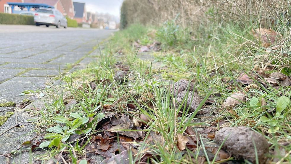 An manchen Straßenrändern, wie hier an der Rudolf-Euken-Straße in Rhauderfehn, liegen Hinterlassenschaften. Foto: Hellmers