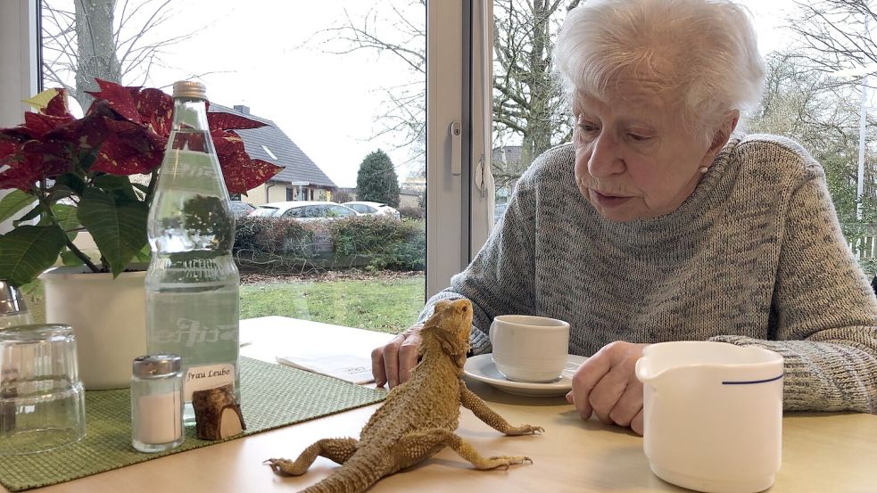 Nennt die Bartagame „Schatzi“: Pflegeheim-Bewohnerin Ute Mahnke. Foto: Ankea Janßen