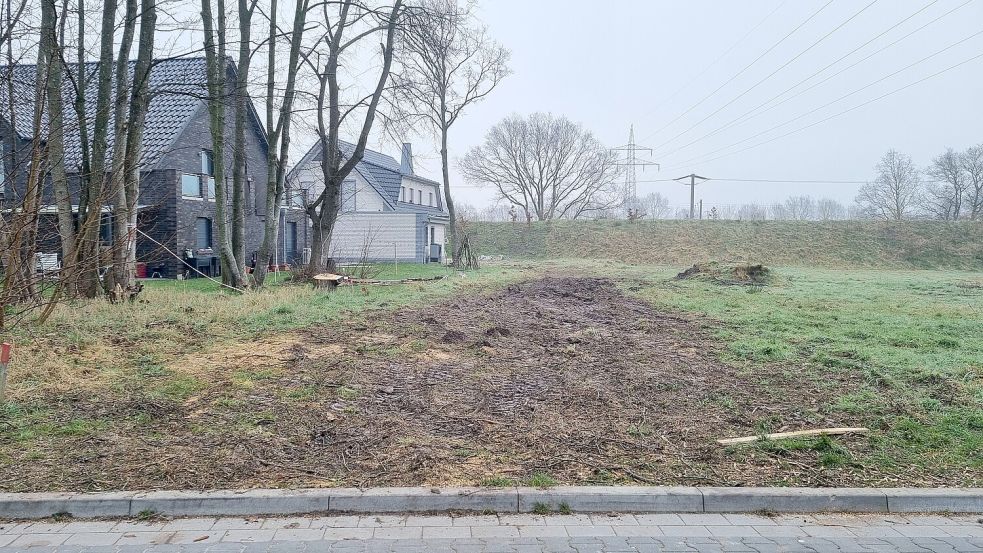 Man sieht noch deutlich die Spuren der Arbeiten an der Hamburger Straße. Dass hier mal große Bäume standen, kann man sich jedoch kaum noch vorstellen. Foto: Bothe
