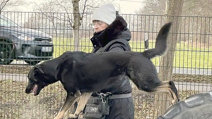 Tanja Knipper beim Training mit ihrem Hund Akela. Foto: Martina Hesse