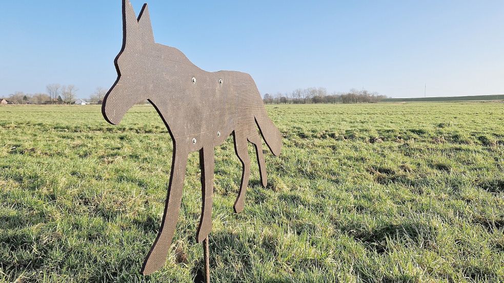 Aus einer Holzplatte hat Wilfried Jütting diese Fuchsattrappe selbst gefertigt. Im Internet gibt es sie aber auch fertig zu kaufen. Foto: Gettkowski