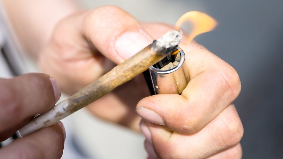 Erwachsene dürfen ab 1. April monatlich bis zu 50 Gramm Cannabis besitzen - welche Folgen wird das haben? Foto: dpa/ Christoph Soeder