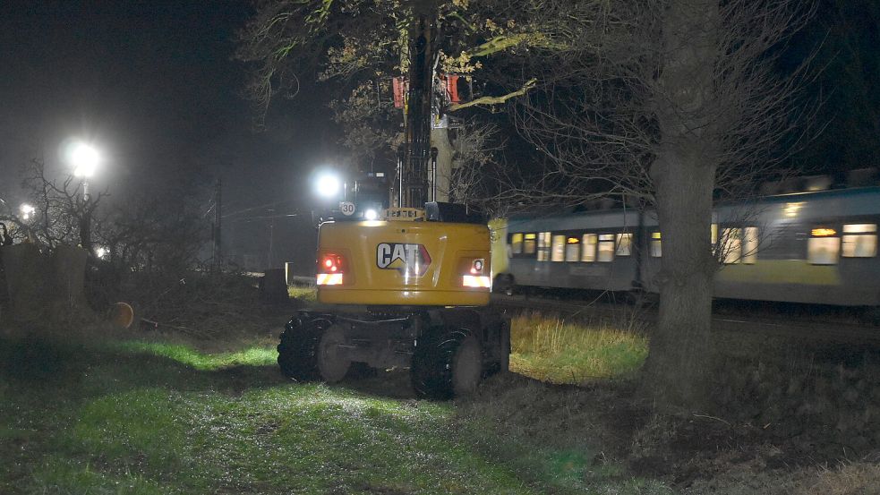 Direkt entlang der Bahnlinie soll zwischen den Übergängen Lütjewolde und Weidenstraße ein neuer öffentlicher Ersatzweg entstehen. Dafür werden rund 90 Bäume gefällt. Foto: Ammermann