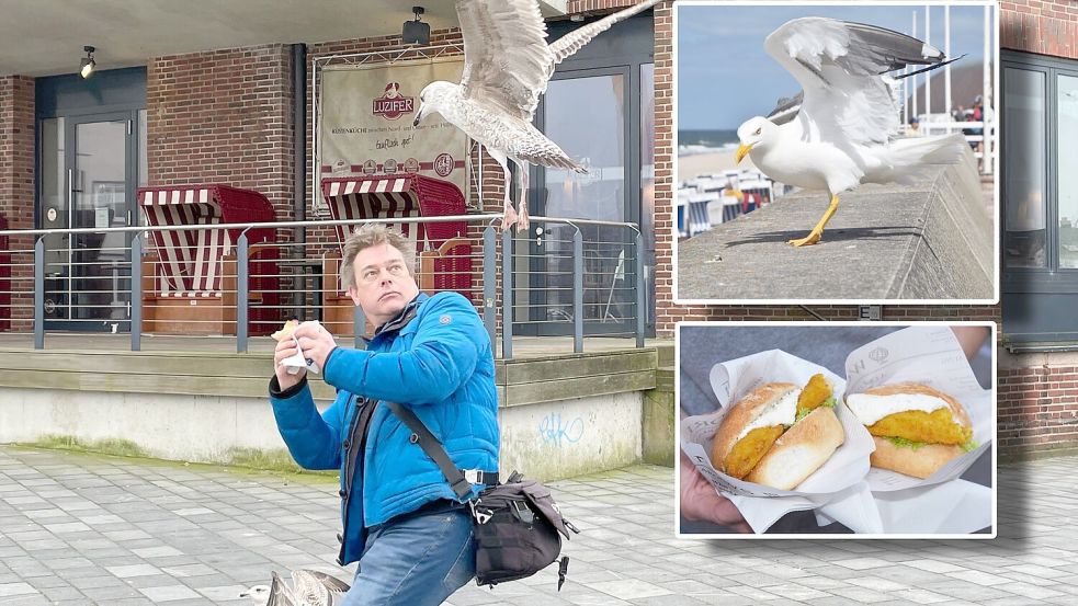 Mundraub von oben: Wie hier in Eckernförde müssen Hafenbesucher gut auf ihr Essen aufpassen. Sonst kommen die Möwen. Foto: Christoph Rohde, Helmut Newton, dpa, Montage: Raissa Waskow