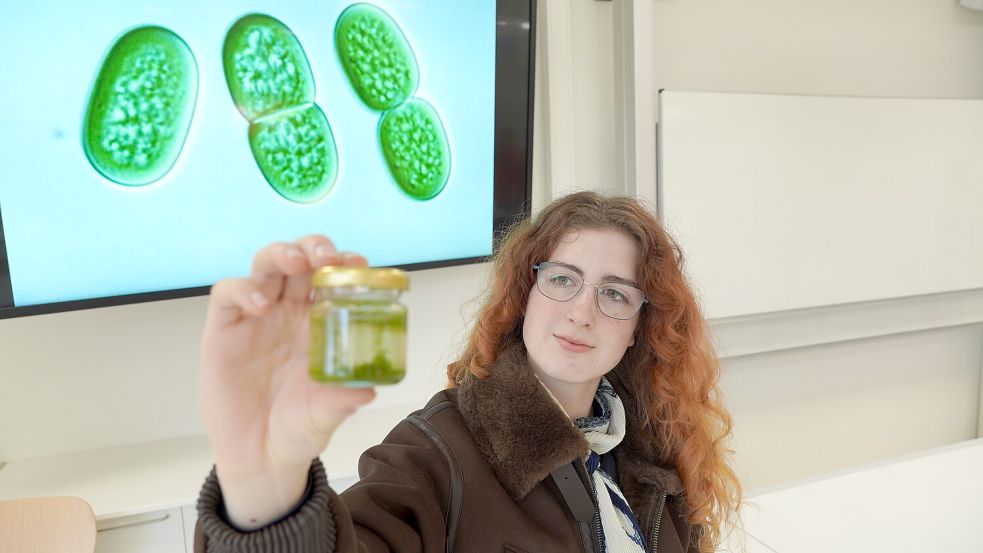 Julia Lenger vom Mariengymnasium Papenburg hat mit ihrer Forschung zu Bakterien einen weiteren Erfolg eingefahren. Foto: Schade