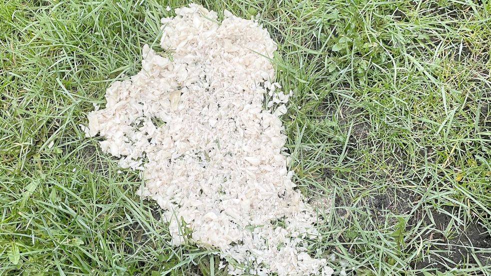 Hack aus etwa einem Beutel Zwiebeln ist kein normaler Küchenabfall, der entsorgt wurde, mutmaßen die Anwohnerinnen und Anwohner.