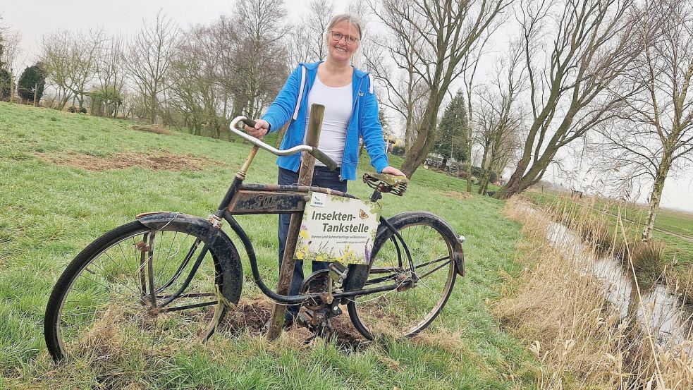 Wie der Garten zu einer Insekten-Tankstelle wird, darüber können sich Gartenbesitzer von der Naturgartenbeauftragten der Gemeinde Bunde, Agnes Ratering, kostenlos beraten lassen. Foto: Gettkowski