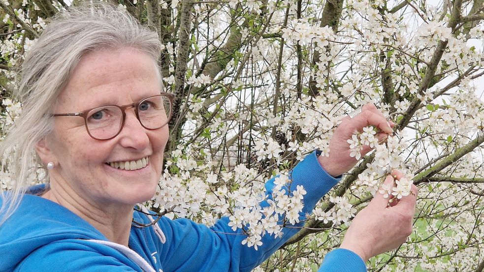 Agnes Ratering zeigt, wo Insekten schon jetzt im Frühjahr finden. Bienen summen in den weißen Blüten der Mirabellenbäume. Foto: Gettkowski