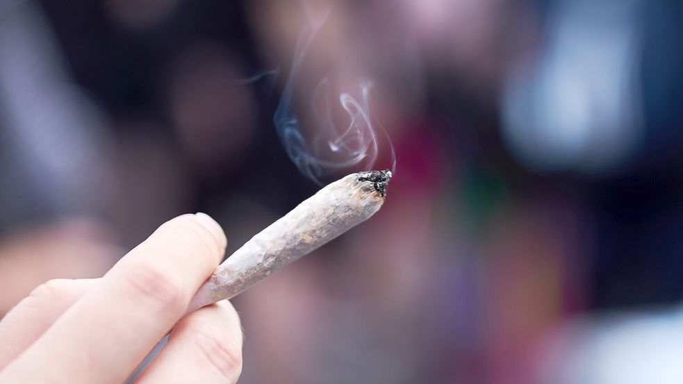 Der Bundesrat hat heute zugestimmt: Ab dem 1. April darf in Deutschland legal Cannabis besessen und konsumiert werden. Aber wer profitiert eigentlich davon? Foto: dpa