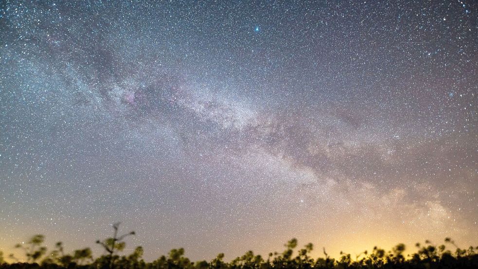 Der Sternenhimmel leuchtet über einem Rapsfeld. Laut Nasa könnte sich in den kommenden Monaten könnte ein Himmelsspektakel ereignen - eine sogenannte Nova-Explosion. Foto: Daniel Reinhardt/dpa