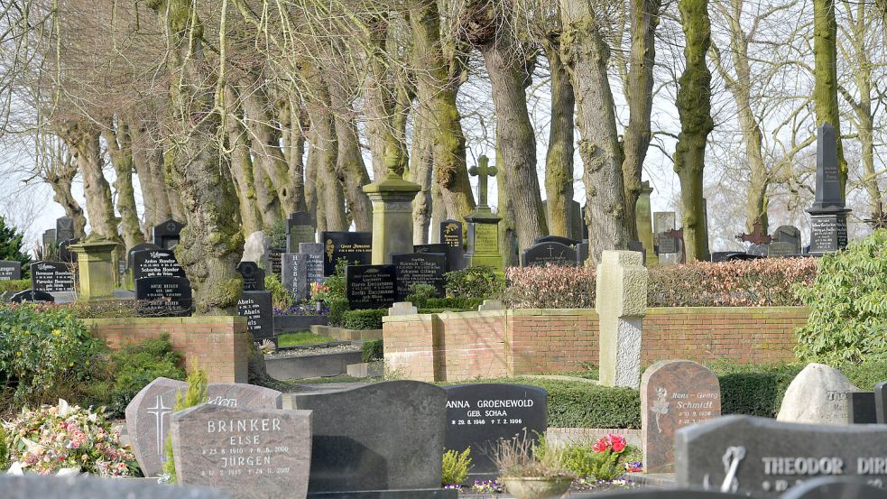 Die Baumallee auf dem alten Friedhof steht unter Schutz, ebenso einige Denkmäler. Foto: Ortgies