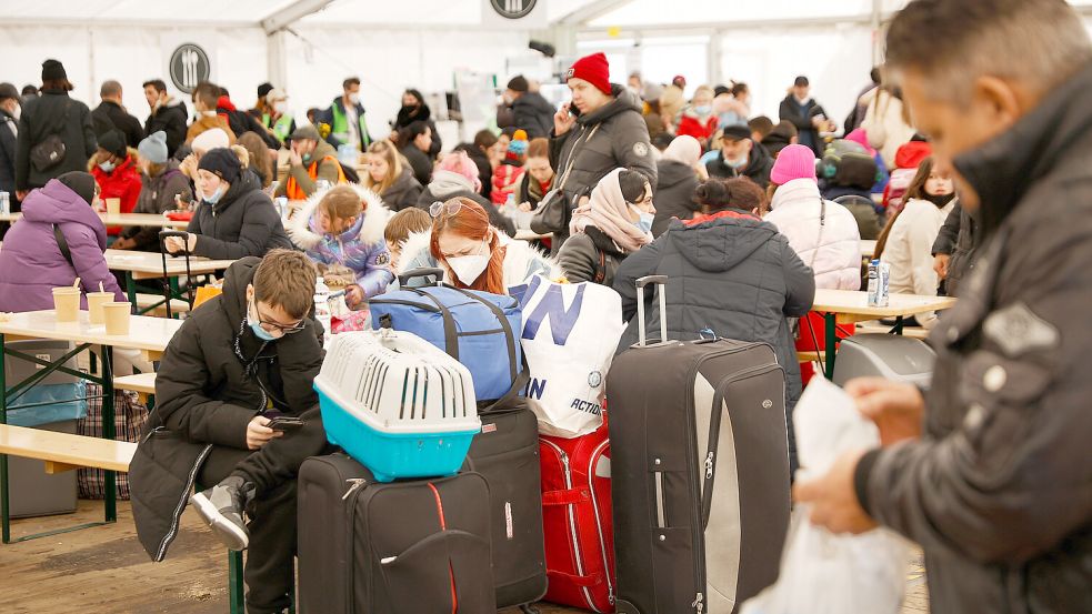 Rund 1,1 Millionen Ukrainer sind nach Deutschland geflohen. Viele erhalten Bürgergeld. Foto: dpa/Carsten Koall