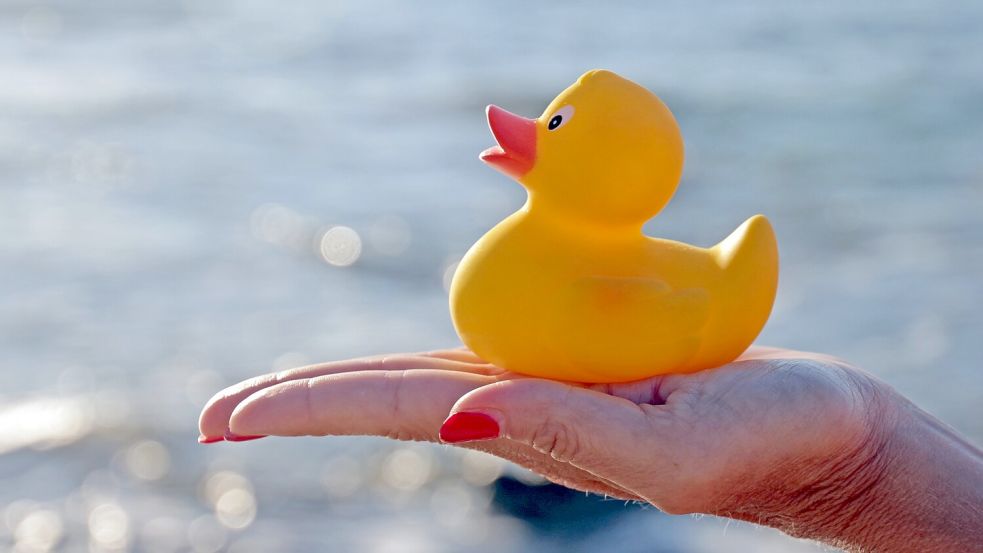 Schwimmer müssen bei der Challenge Quietscheentchen an Land bringen – mindestens vier Stück. Foto: adobe.stock.com