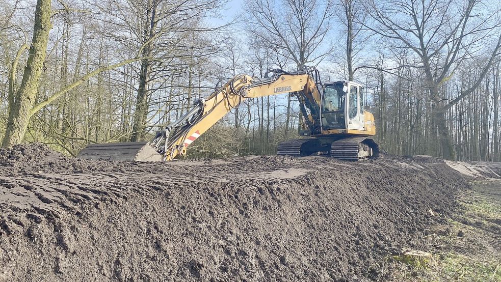 Ein Bagger profiliert den Deich in Langholt. Foto: Löschen