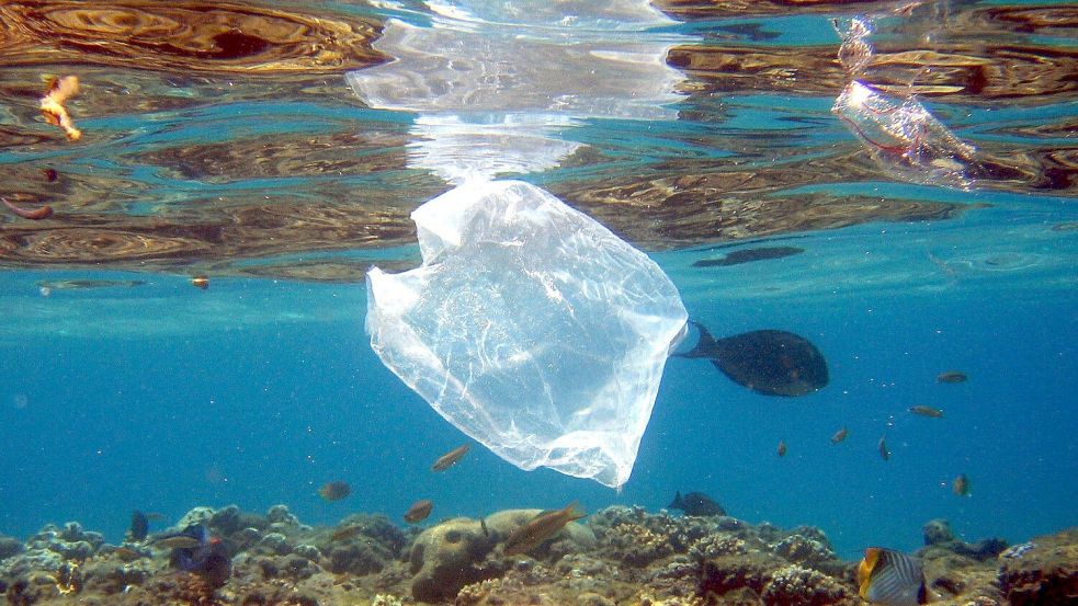 Plastikmüll ist ein großes Problem in den Meeren. Foto: Mike_Nelson/epa/dpa