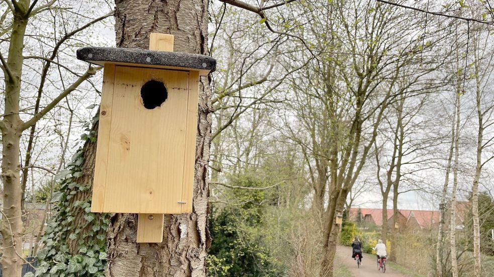 Am Ostfrieslandwanderweg in Rhauderfehn wurden zahlreiche Nistkästen aufgehängt. Foto: Janßen