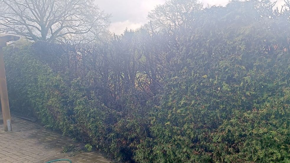 Eine Hecke geriet an der Albert-Schweitzer-Straße in Ihren in Brand. Fotos: Feuerwehr Ihren