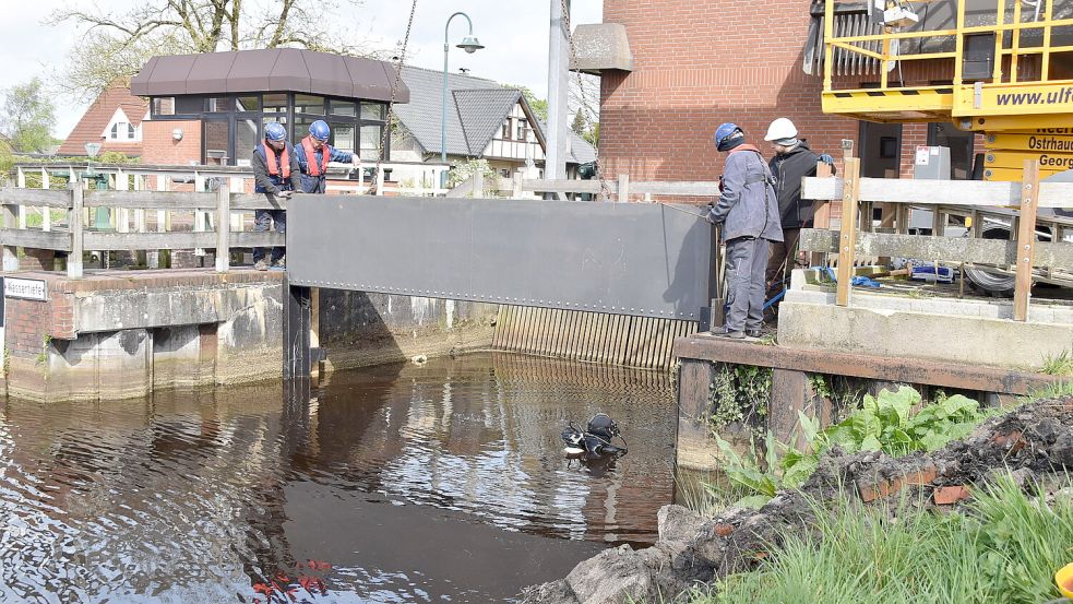 Mit Hilfe eines Krans wurden schwere Dammtafeln direkt beim Schöpfwerk eingesetzt. So wurde eine Abdämmwand errichtet. Ein Taucher kontrollierte unter Wasser, ob die einzelnen Stahlelemente auch richtig liegen. Anschließend wurde das Wasser aus dem Schöpfwerk herausgepumpt – und so das Schöpfwerk trockengelegt. Foto: Ammermann