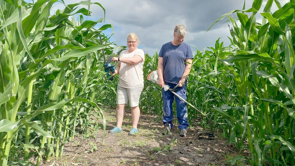 Im vergangenen Jahr haben Nadine und Thorsten Bruns kurz vor der Eröffnung noch am Labyrinth gearbeitet. Foto: Archiv/Scherzer