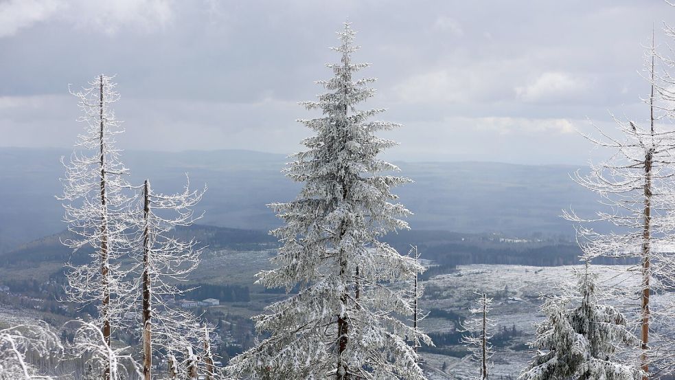 Im Mittelgebirge ist mit viel Neuschnee zu rechnen. Foto: Matthias Bein/dpa