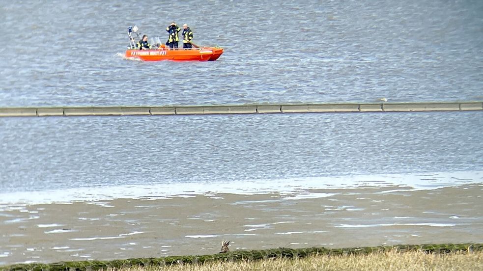 Vom Wasser aus versuchten Feuerwehrleute, mit lautem Klopfen das Tier in Richtung Strand zu treiben. Foto: Feuerwehr