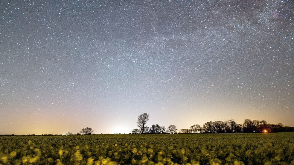 Der Sternenhimmel leuchtet über einem Rapsfeld. Auch im Mai lohnt sich ein Blick in den Sternenhimmel (Archivbild). Foto: Daniel Reinhardt/dpa