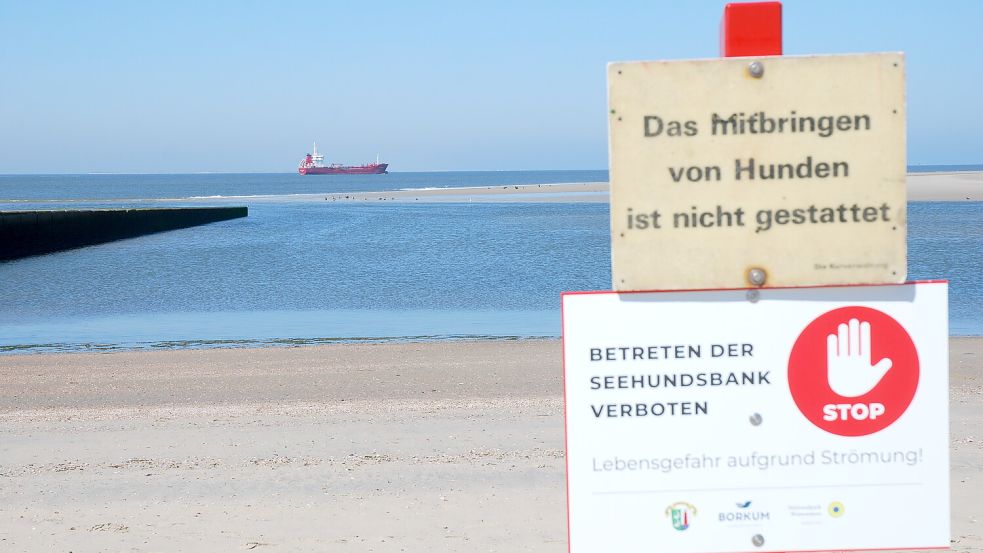Die Borkumer Seehundsbank darf nicht betreten werden. Foto: Ferber