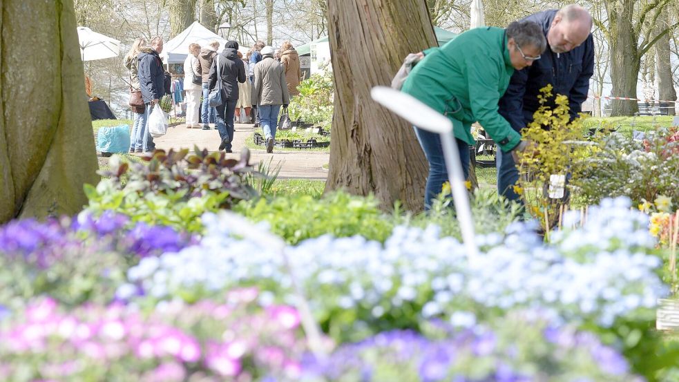 Im Evenburg-Park in Leer ist am Wochenende Frühlingsfest. Foto: Archiv