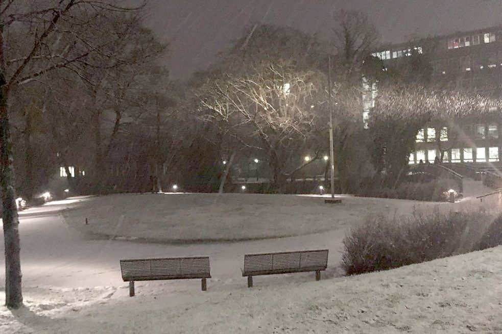 Auch auf der Hahnschen Insel in Emden fiel am Donnerstagmorgen Schnee. Bild: Harms