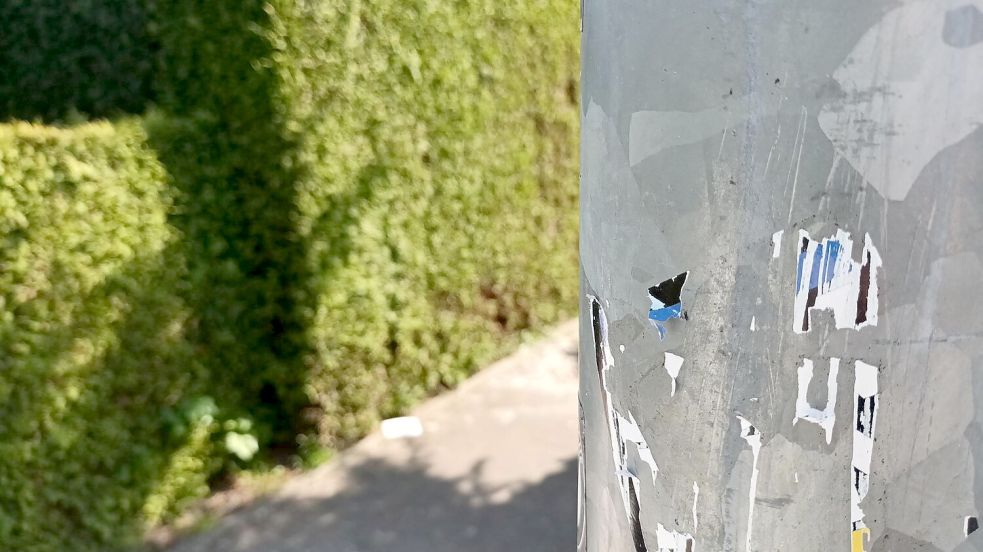 Laternenmasten werden oft beklebt. Symbolfoto: Vogt