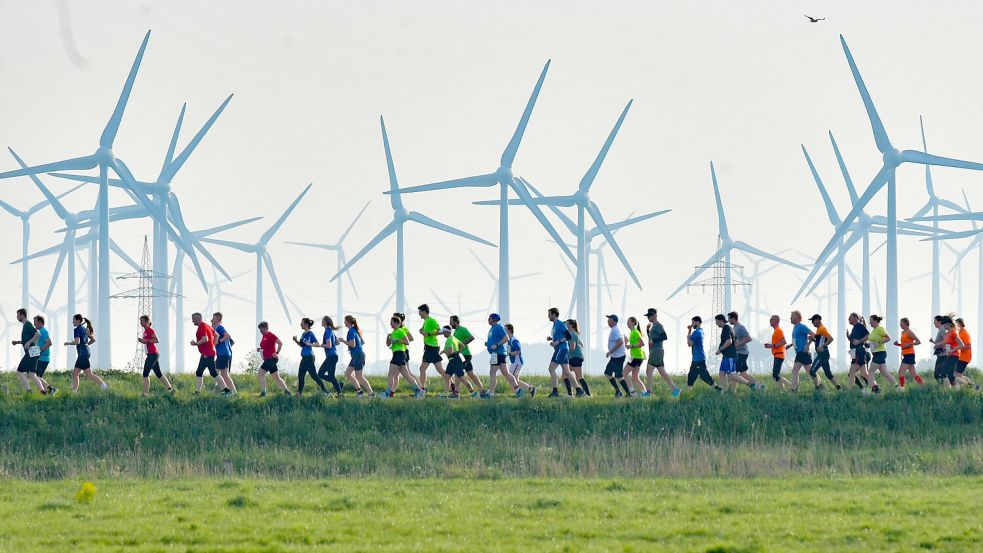 Typisch für den Ossiloop: das Läuferfeld vor Windenergieanlagen. Foto: Ortgies