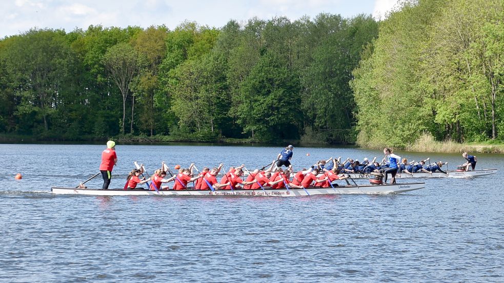 Die Drachenbootteams lieferten sich spannende Rennen auf dem Freizeitsee in Grotegaste. Foto: Marius Ammermann