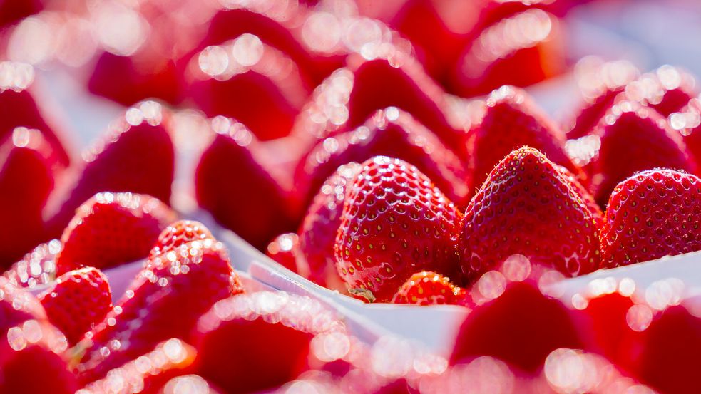 Erdbeeren gelten gemeinhin als Königinen der Beeren. Foto: Vennenbernd/DPA