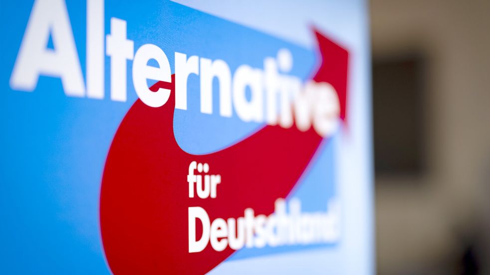 Die AfD in Thüringen hat vor einer Kommunalwahl in zwei Wochen mit parteiinternen Querelen zu kämpfen. Foto: dpa/Christoph Reichwein