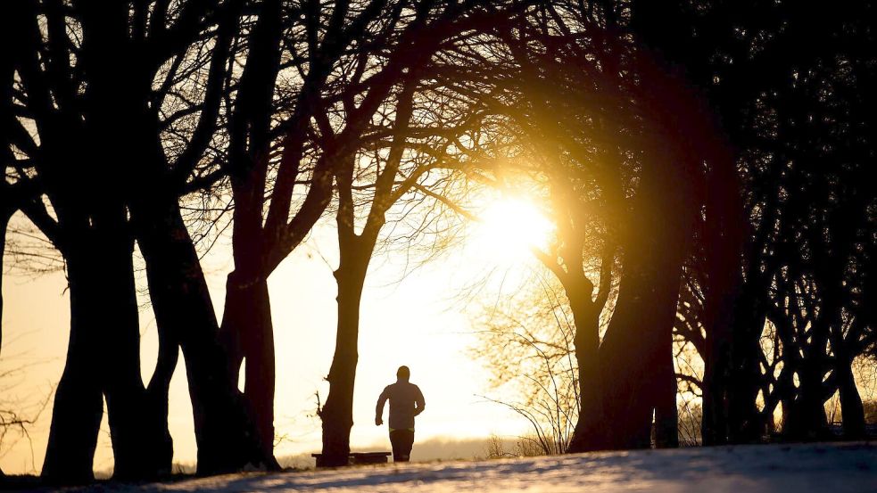 Guter Ausgleich: Im Wald oder am Wasser finden viele Läufer Ruhe. Foto: Sina Schuldt/dpa/dpa-tmn