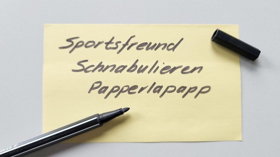 Statt des Jugendworts des Jahres hat Tiktoker Levi Penell online nach dem „Boomer-Wort“ 2024 gesucht. Jetzt steht der Gewinner fest. Foto: Arlena Schünemann